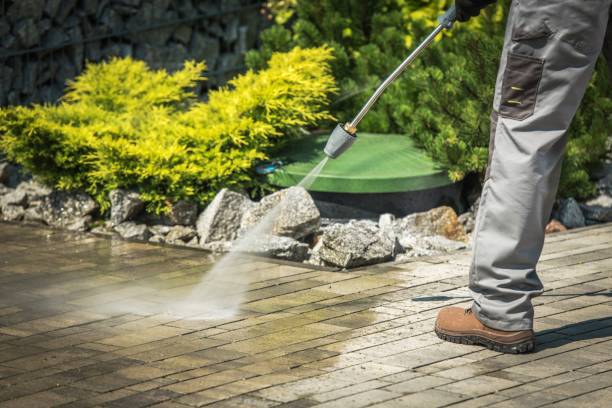 Best Oil Spill Cleanup  in Parole, MD