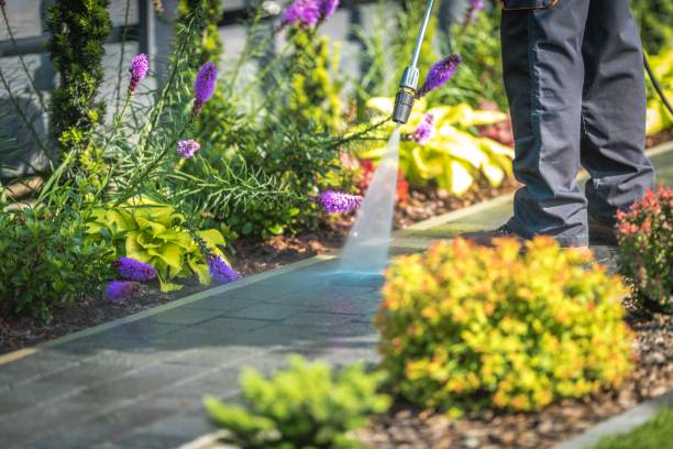 Best Restaurant Pressure Washing  in Parole, MD
