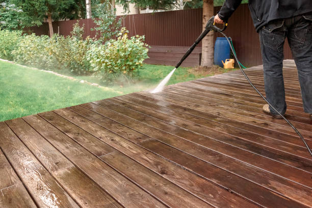 Best Solar Panel Cleaning  in Parole, MD