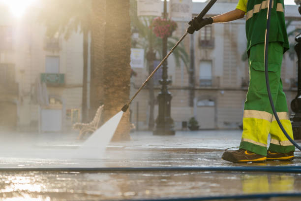 Best Sidewalk and Walkway Cleaning  in Parole, MD